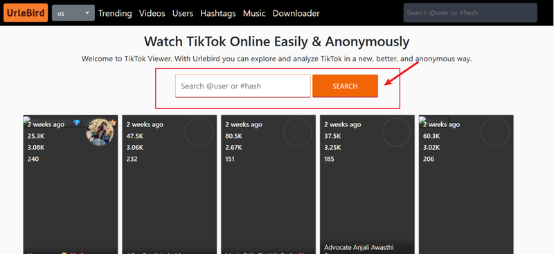 Urlbird Search Bar