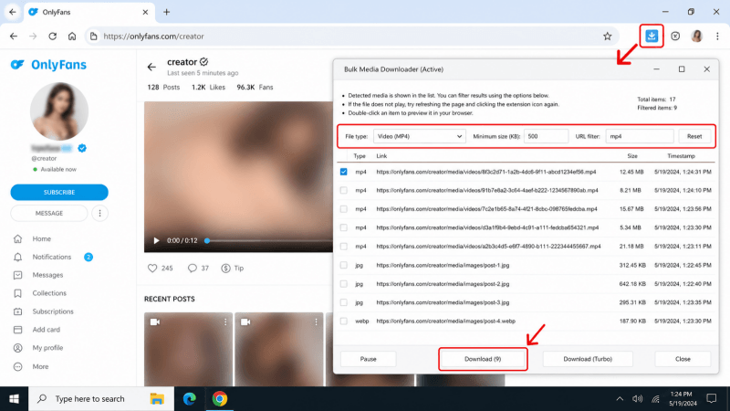 use bulk media downloader