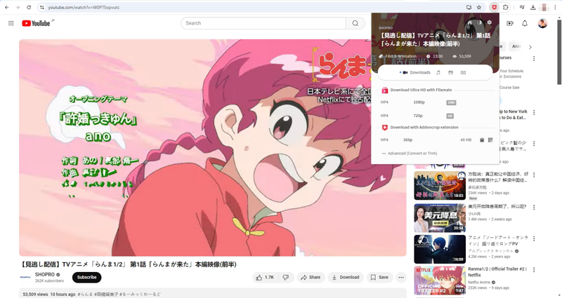 Use Flixmate Extension