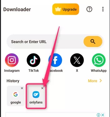 Video Downloader Built in Browser