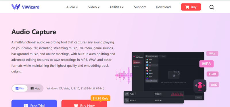 Viwizard Audio Capture