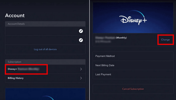 Watch Disney Plus Without Ads with Premium Subscription