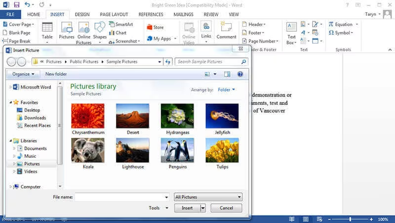 Word Insert Image