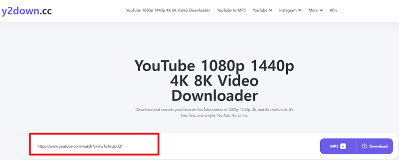 paster youtube ulr to y2down
