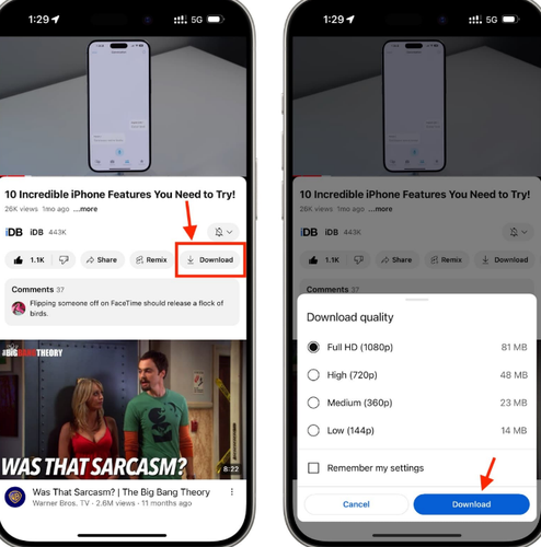 Youtube Download Button