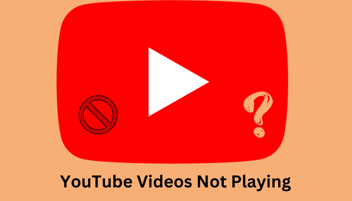 Youtube Video Not Playing